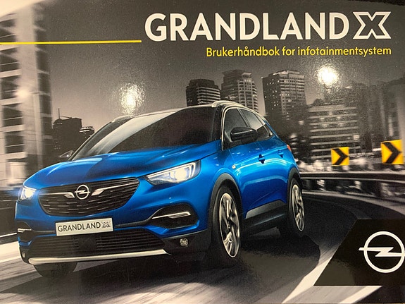 Opel Grandland X 29 of 30