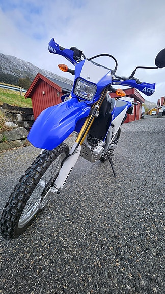 Yamaha WR 250 R 4 of 11