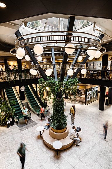 Bilde 5 av 5 i jobbannonse-galleriet