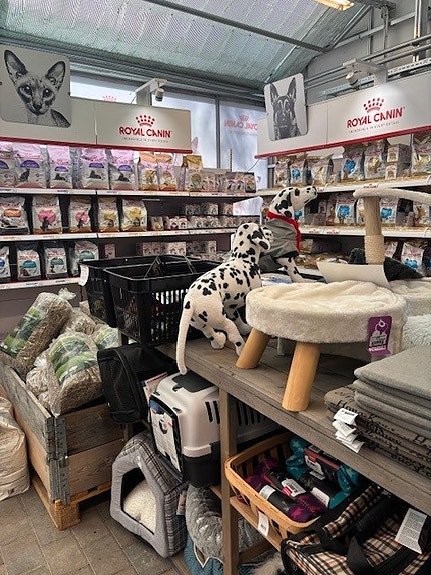 Dyre avdeling, med stort utvalg av for fra Royal Canin
