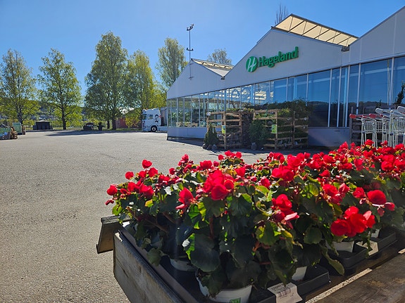 Bilde fra arbeidsgiver