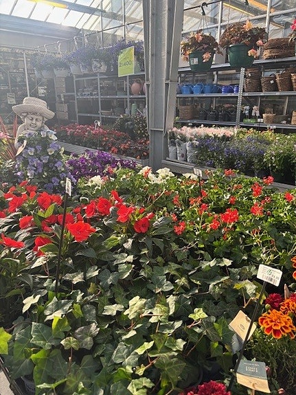 Stort utvalg blomster