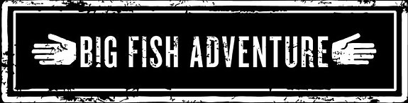 Big Fish Adventure logo
