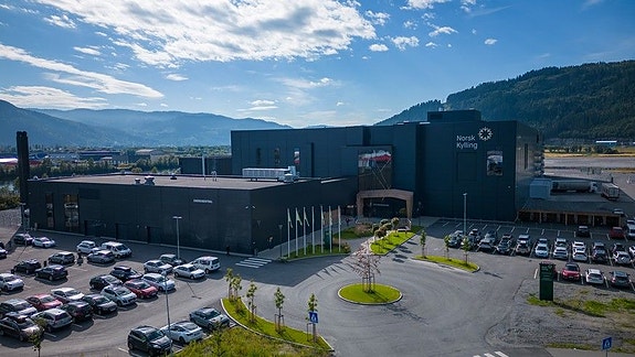 Bilde 1 av 2 i jobbannonse-galleriet