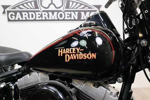 Harley-Davidson Cross Bones 13 of 13