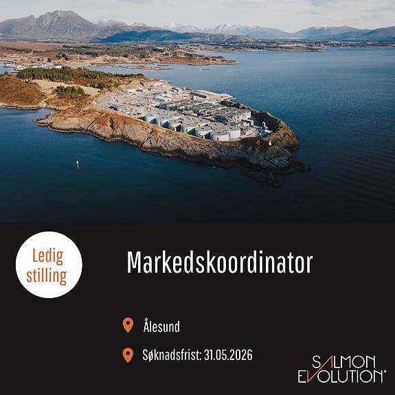 Bilde 1 av 1 i jobbannonse-galleriet