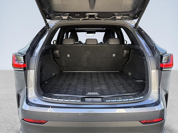 Lexus NX450h 19 of 21