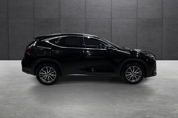 Lexus NX450h 6 of 16
