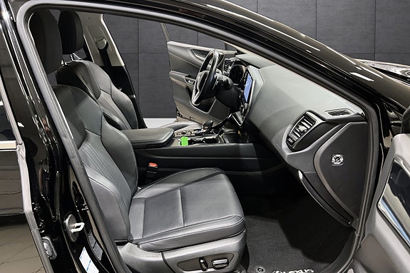 Lexus NX450h 15 of 16
