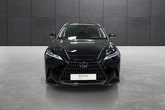 Lexus NX450h 8 of 16