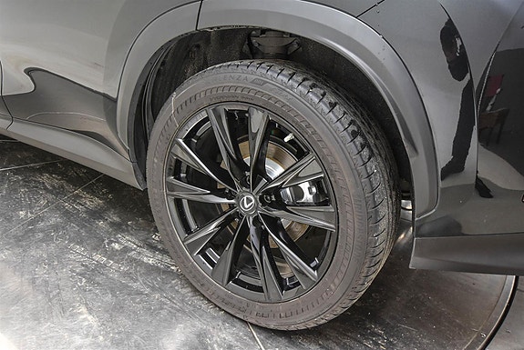 Lexus NX450h 9 of 30