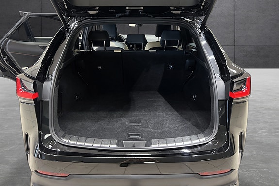 Lexus NX450h 18 of 22
