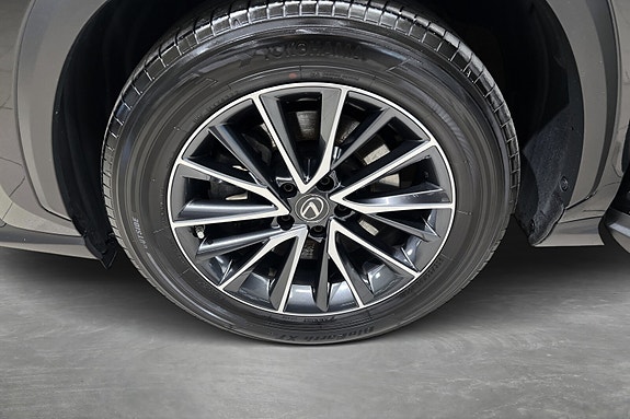 Lexus NX450h 20 of 22