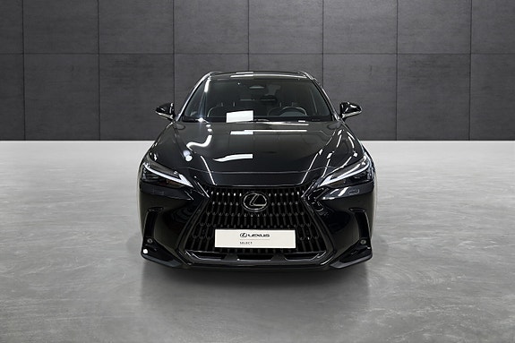 Lexus NX450h 8 of 22