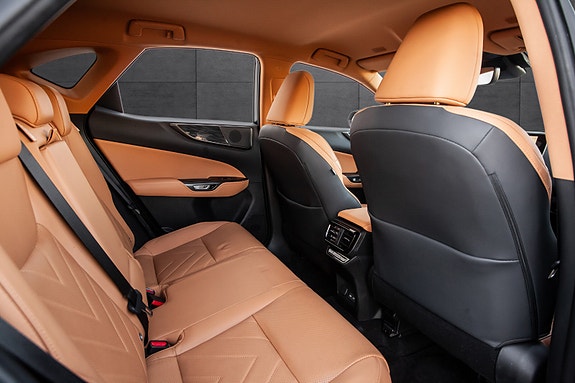 Lexus NX450h 13 of 18
