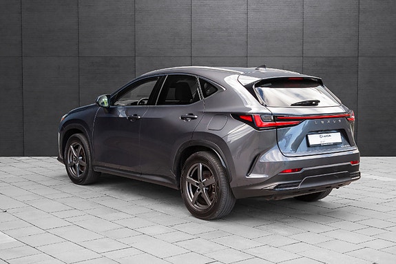 Lexus NX450h 7 of 19