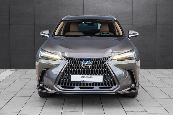 Lexus NX450h 5 of 19