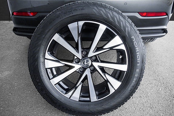 Lexus NX450h 17 of 18