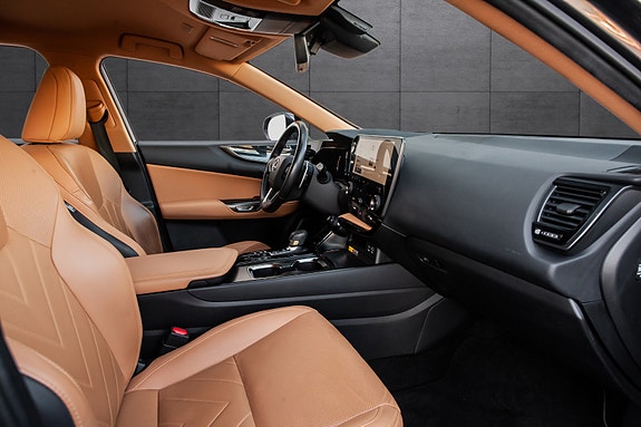 Lexus NX450h 14 of 18