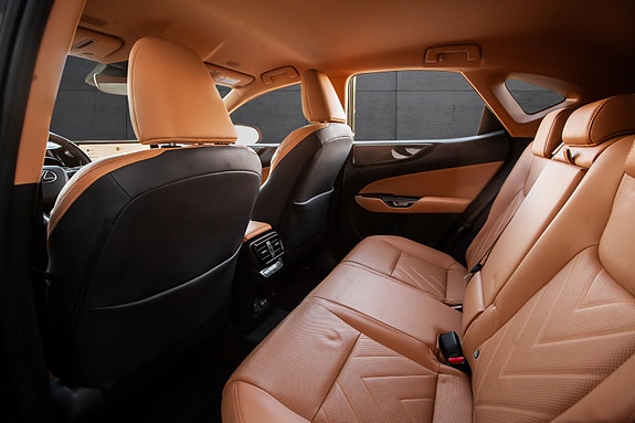 Lexus NX450h 12 of 18