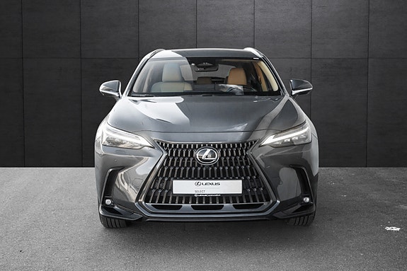 Lexus NX450h 6 of 18