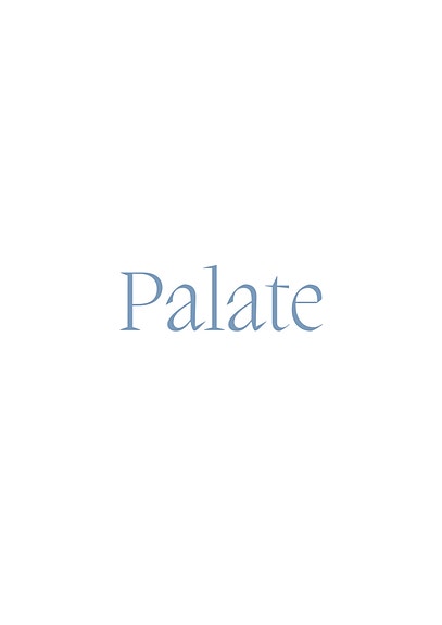 Palate Bispevika AS logo