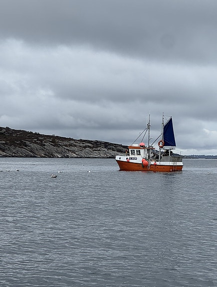 M/S DØNNINGEN - LH3220 4 of 5