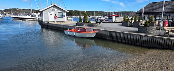 Strøken askeladden leies ut. 2 of 13