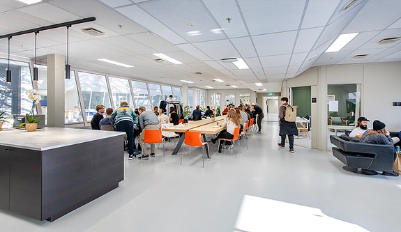 Bilde 8 av 9 i jobbannonse-galleriet