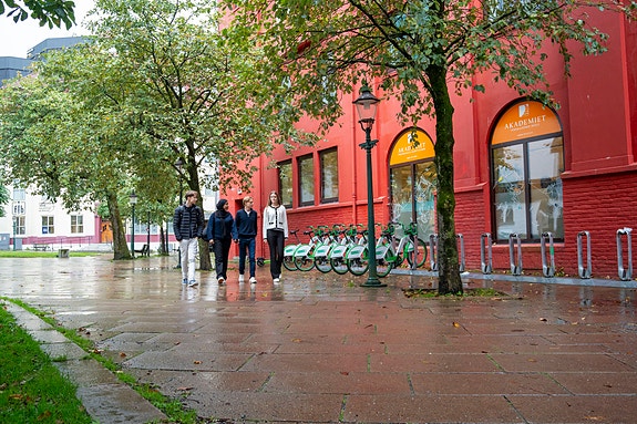 Bilde 1 av 1 i jobbannonse-galleriet