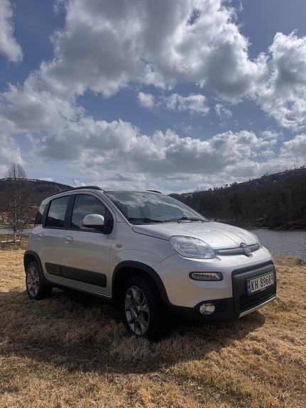 Fiat Panda 2 of 17