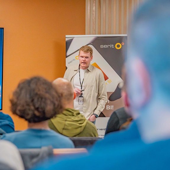 Serit Eltele er det vi kan kalle en kompetanse-hub i Finnmark med lang erfaring og mange dyktige fagfolk innen IT spredt over Alta, Hammerfest og Vadsø. Her står du ikke alene om å løse problemene.