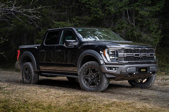 Ford F-serie