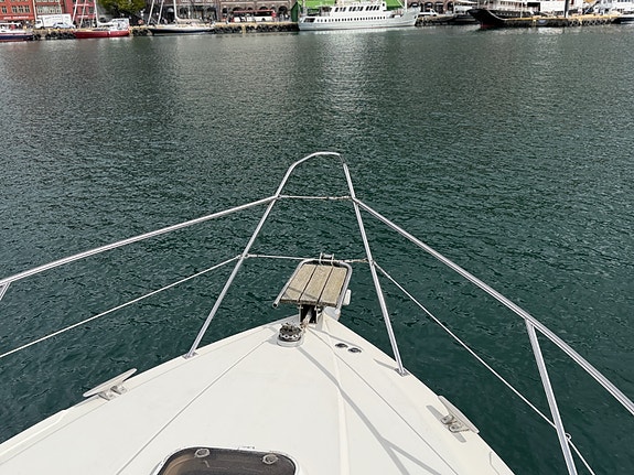 Fairline Targa 33 2 x Volvo Penta D4 225 fra 2017 - 165 gangtimer. Baugtrøster 9 of 30
