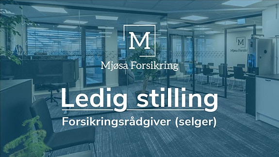 Bilde 2 av 3 i jobbannonse-galleriet