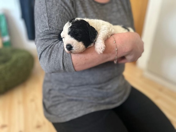 Product image 4 of 10