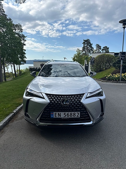 Lexus UX300e 8 of 15