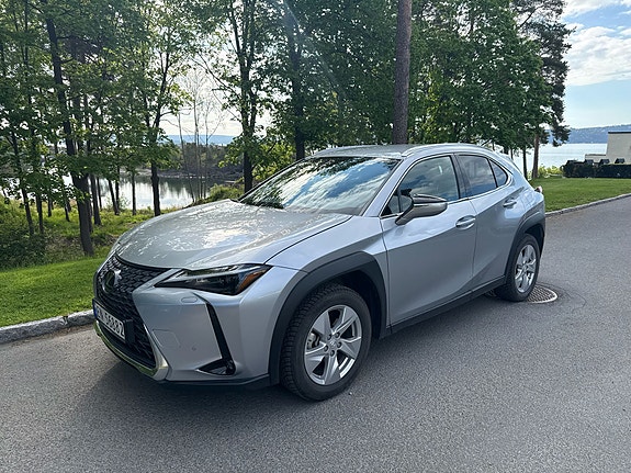 Lexus UX300e 6 of 15