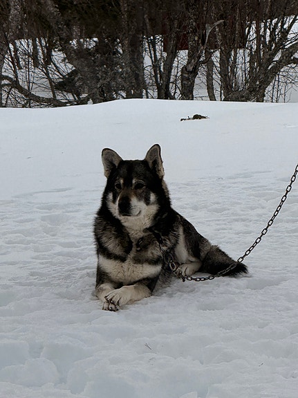 Product image 3 of 9