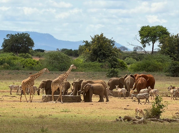 Kenya 2025