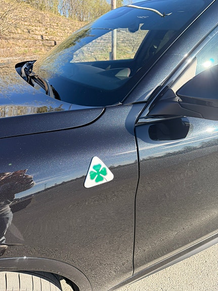 Alfa Romeo Stelvio Quadrifoglio 9 of 20