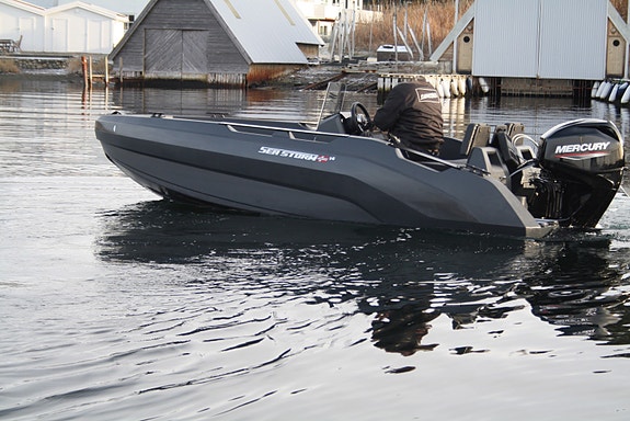 Seastorm 14 Advantage m/Mercury F30 ELPT 7 of 30