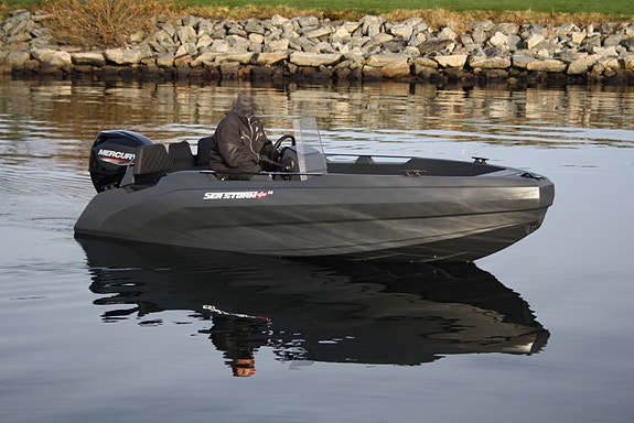 Seastorm 14 Advantage m/Mercury F30 ELPT 2 of 5