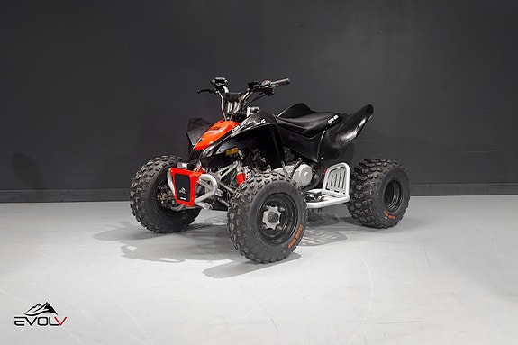 Can-Am DS 90 X