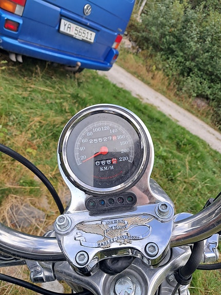 Harley-Davidson XL 883 Sportster 3 of 3