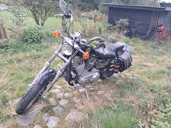 Harley-Davidson XL 883 Sportster 2 of 3