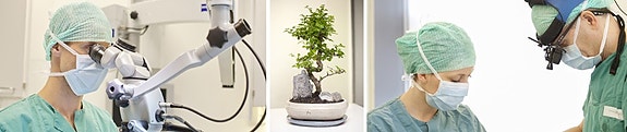 Bilde 1 av 2 i jobbannonse-galleriet