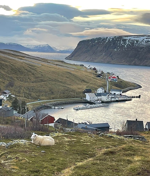 Akkarfjord