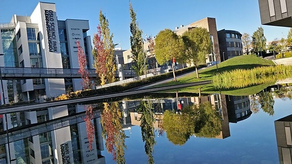 Bilde 3 av 3 i jobbannonse-galleriet