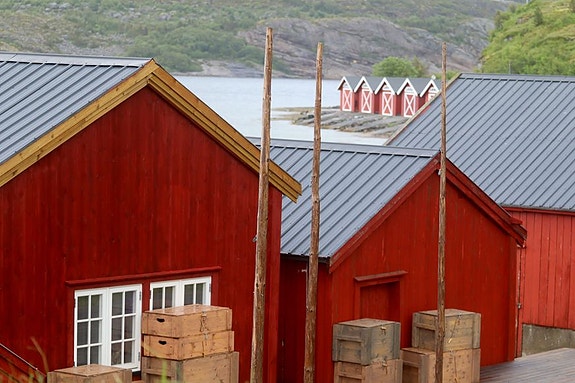 Bilde 6 av 6 i jobbannonse-galleriet